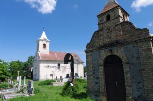 IMGP4246