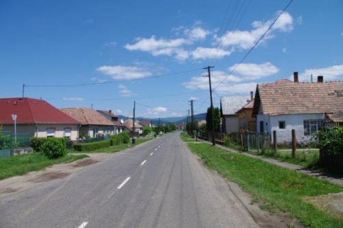 IMGP4312